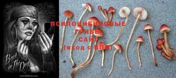 гашик Абдулино