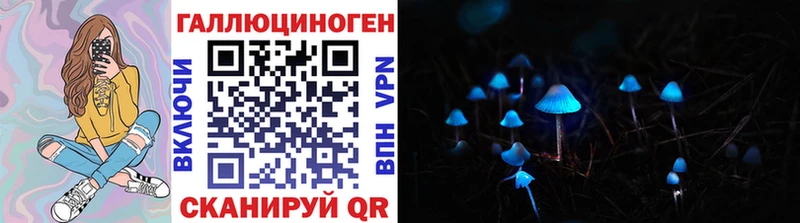 Галлюциногенные грибы Psilocybine cubensis  Новопавловск 